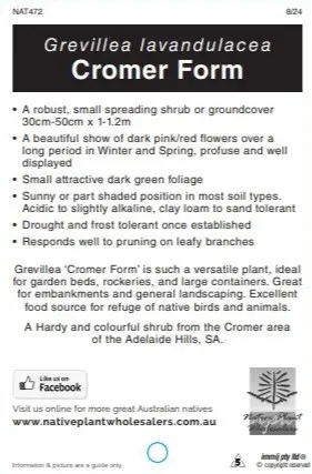 Grevillea Label - Back